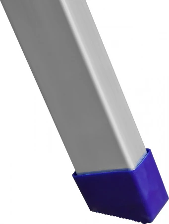 562241.jpg