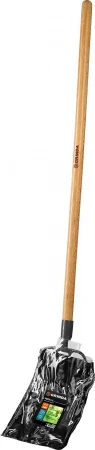 593452.jpg