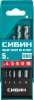 588646.jpg