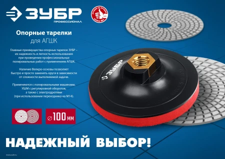 597033.jpg