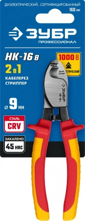 592981.jpg