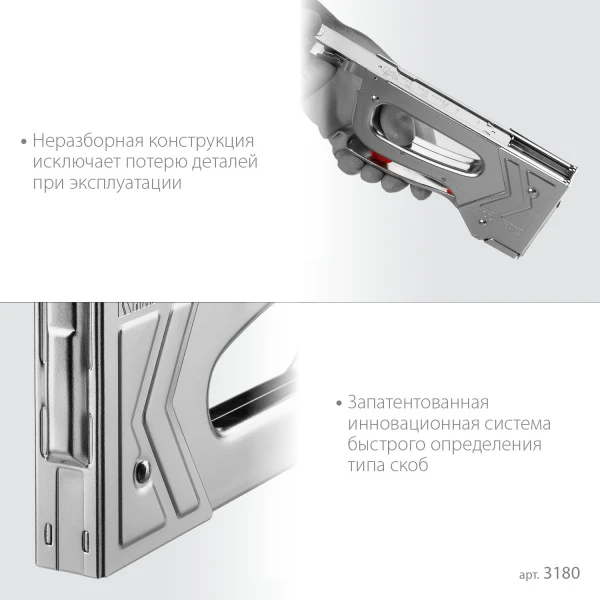 598445.jpg
