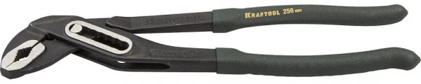 419954.jpg