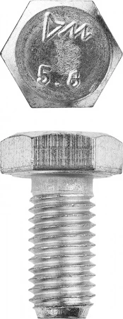 560501.jpg