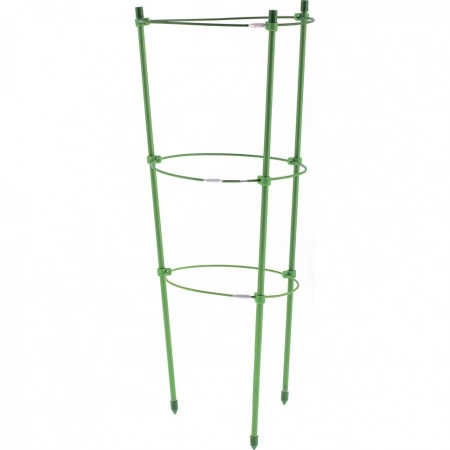 47572.970.jpg