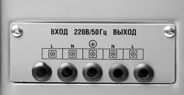 595836.jpg