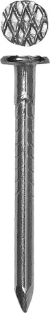 560446.jpg
