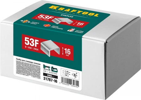591004.jpg