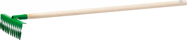 593455.jpg