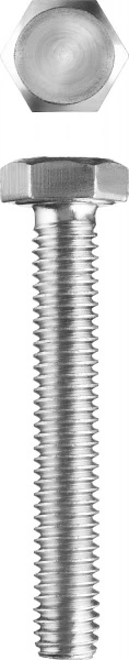 557622.jpg