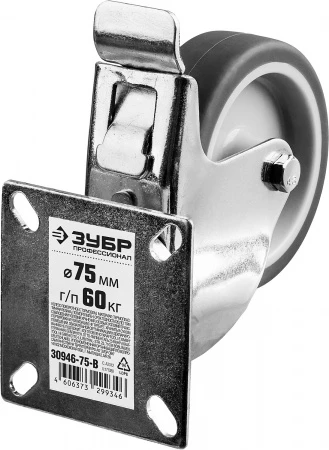 594202.jpg