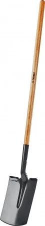 599581.jpg