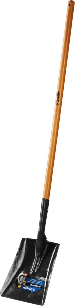 593446.jpg