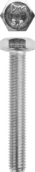 560497.jpg