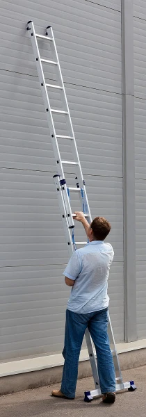 562258.jpg