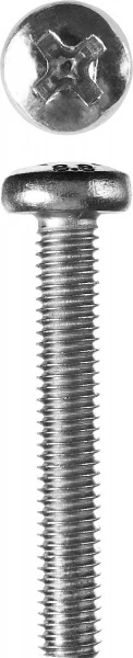 557705.jpg