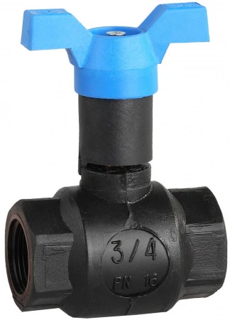 304557.jpg