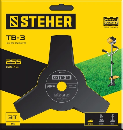 593773.jpg