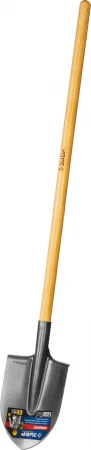 593438.jpg
