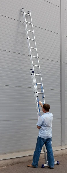 562261.jpg