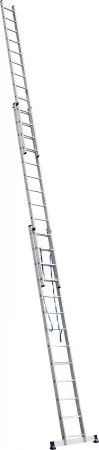562275.jpg