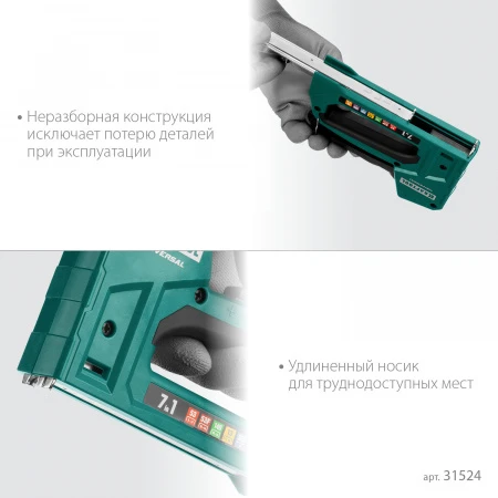 598428.jpg