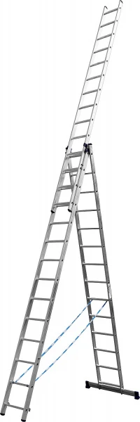 562279.jpg
