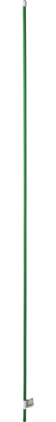 593558.jpg