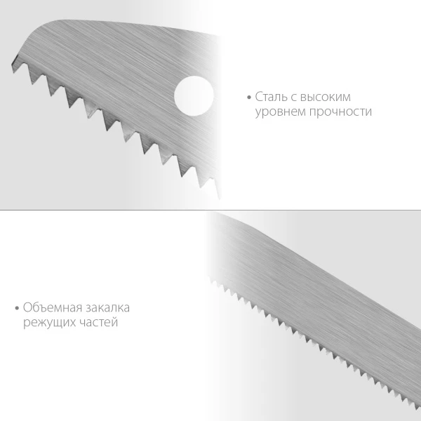 577454.jpg