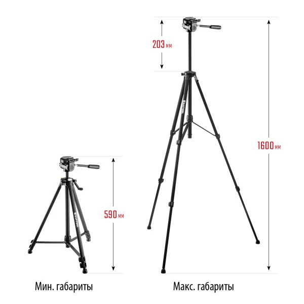 598619.jpg