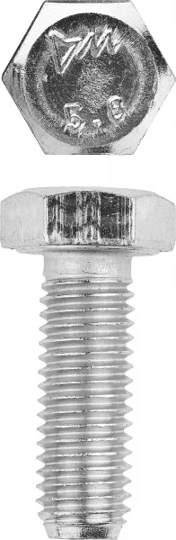 560502.jpg