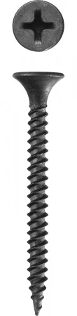 560812.jpg