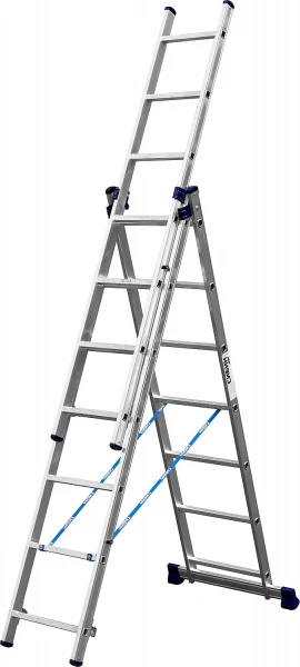 562267.jpg