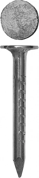 560462.jpg