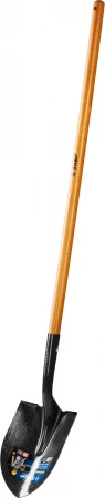 593448.jpg