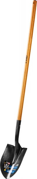 593448.jpg