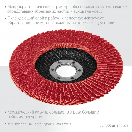 564442.jpg