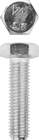 560504.jpg