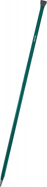 544254.jpg