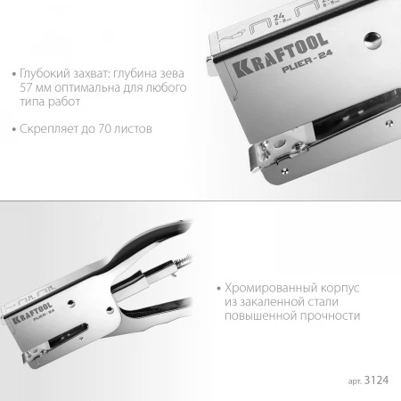 598412.jpg